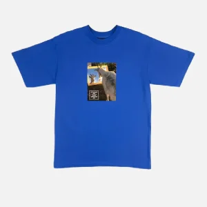 Adwysd Believe T-Shirt Royal Blue